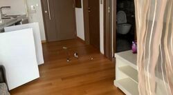 Espada (D9), Apartment #504307841